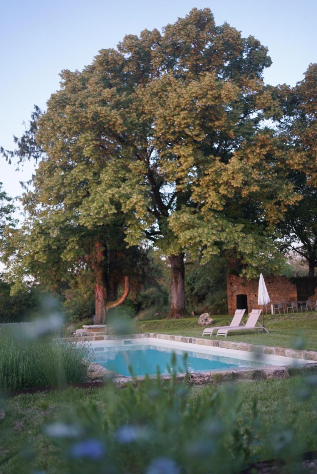 Maison Lou Piade Sarlat-la-Canéda Eksteriør bilde